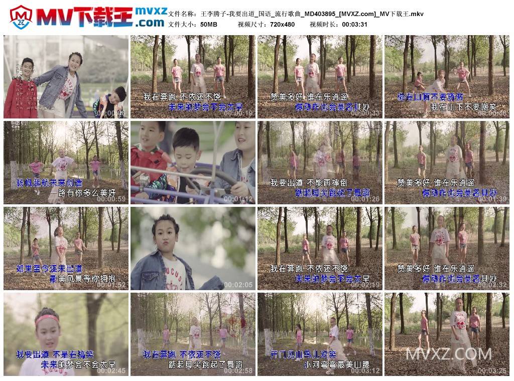 王李腾子-我要出道_国语_流行歌曲_MD403895